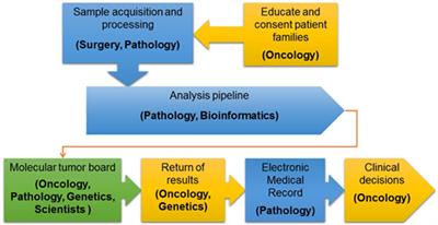 Precision Medicine in Children and Young Adults with Hematologic Malignancies and Blood Disorders: The Columbia University Experience